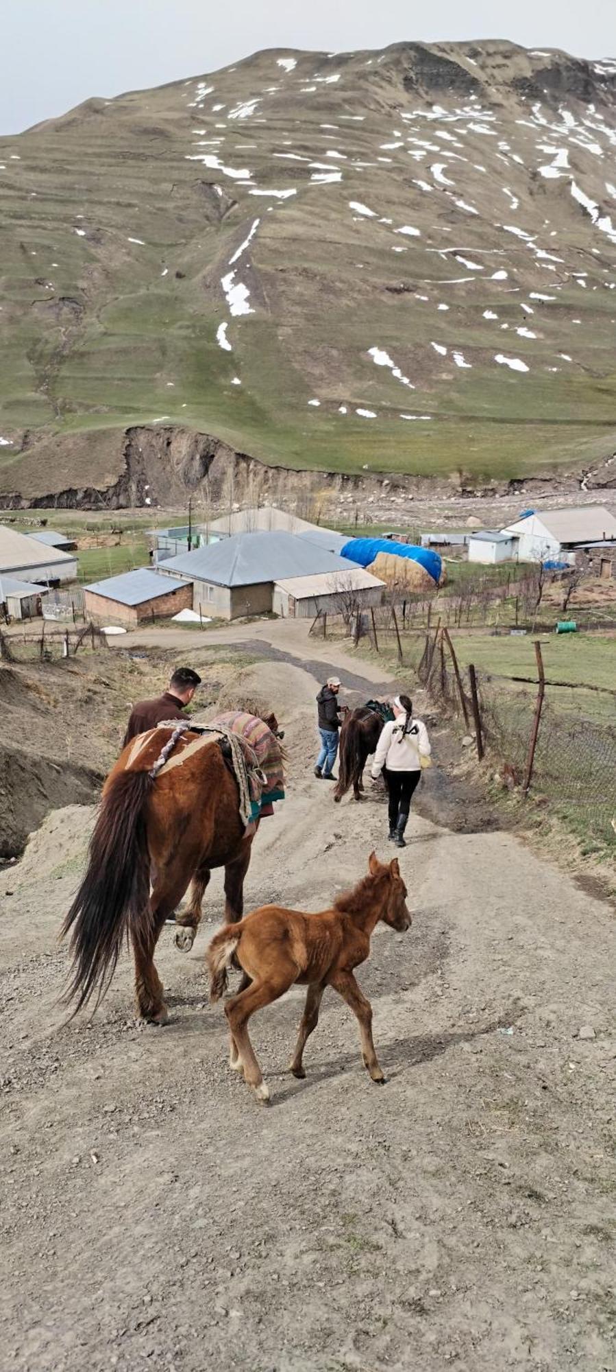 Xinaliq Elnur Guest House, New Hotel 외부 사진