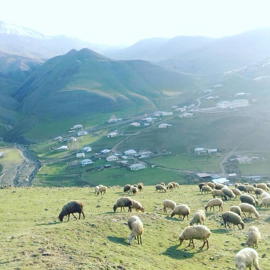 Xinaliq Elnur Guest House, New Hotel 외부 사진